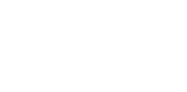 Stone Ridge Contracting